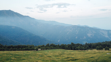 Aerial view of green fields, forest and mountain peaks in the Italian Alps.