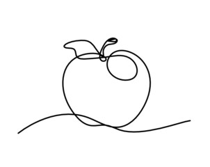 Drawing line apple on the white background. Vector