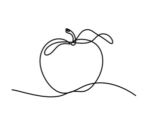 Drawing line apple on the white background. Vector