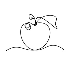 Drawing line apple on the white background