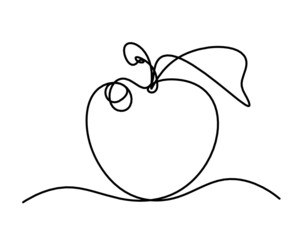 Drawing line apple on the white background. Vector