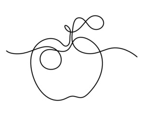 Drawing line apple on the white background. Vector