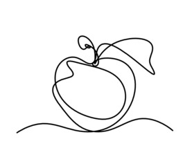 Drawing line apple on the white background
