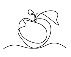 Drawing line apple on the white background. Vector