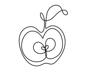 Drawing line apple on the white background