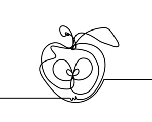 Drawing line apple on the white background. Vector