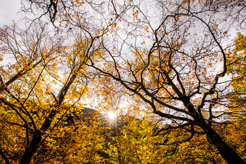 Autumn in Ordesa and Monte Perdido National Park, Spain