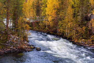 Beautiful river with rapids  in autumn forest, Oulanka National park, Finland