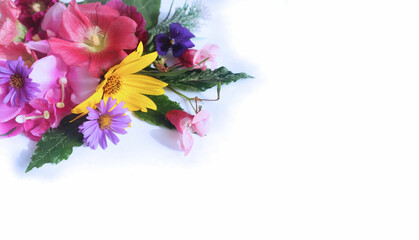 A bright festive bouquet on a white background. Colorful summer flowers. Top view. Background for greeting cards, greetings, invitations.