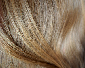 the texture of strands of straight natural light brown hair