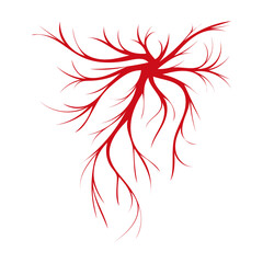 Vein of human vector cartoon icon. Vector illustration artery of blood on white background. Isolated cartoon illustration icon of vein of human .