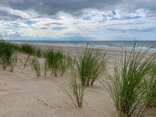 White sand dunes with some grass and seascape background