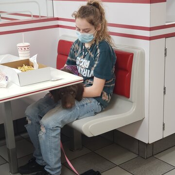 Full Length Of Girl Sitting On Seat With Her Service Dog In A Restaurant Wearing A Mask