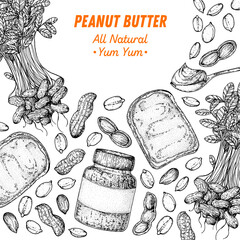 Peanuts and ingredient for peanut butter sketch. Breakfast for energy. Hand drawn vector illustration. Design template. Vegan food. Peanut nut butter set.