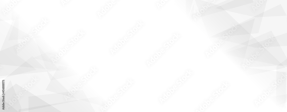 Poster abstract grey and white, texture modern background template for style design.