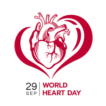 world heart day banner - abstract drawing red human heart in line heart shape sign vector design