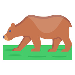 Bear 