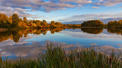 Rural landscape - a picturesque lake with blue water, which reflects the sky and trees