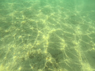 Underwater world of Mediterranean Sea. Near Marmaris, Turkey