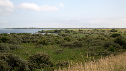 Fototapeta na wymiar Nature reserve Preekhilpolder along Lake Grevelingen, South Holland, Netherlands