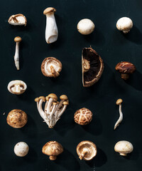 Aerial view of various mushroom collection of black background