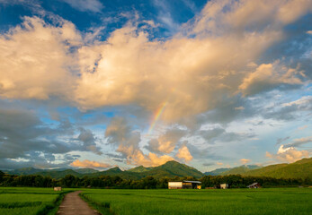 Concrete road in green fields in rainy season beautiful natural scenery of mountains and blue sky rainbow over rice field