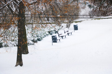 Out of focus, blurry background. View of the snow-covered street.