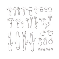 Hand-drawn set of autumn food and plants. Mushrooms, apples, pears, acorns, tree branches. Concept of fall, autumn, nature, forest plants, tree foliage. Colored vector illustration. Lina art.