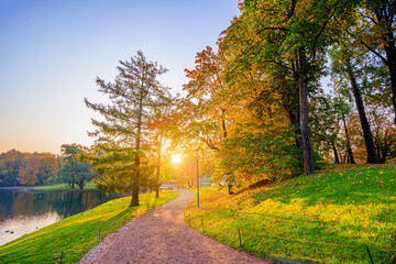 The alley of the autumn park . The season is autumn. September, October, November. A new season. Yellow leaves. A beautiful park. Morning light. . Nature