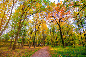 The alley of the autumn park . The season is autumn. September, October, November. A new season. Yellow leaves. A beautiful park. Morning light. . Nature