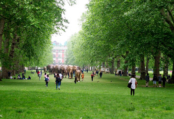 A crowd of people in Green Park in London admire a herd of elephant sculptures