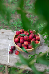 juicy ripe nectarines in a wooden bowl on the old rustic wooden table
