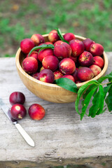 juicy ripe nectarines in a wooden bowl on the old rustic wooden table
