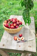 juicy ripe nectarines in a wooden bowl on the old rustic wooden table
