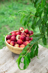 juicy ripe nectarines in a wooden bowl on the old rustic wooden table

