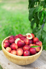 juicy ripe nectarines in a wooden bowl on the old rustic wooden table
