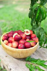juicy ripe nectarines in a wooden bowl on the old rustic wooden table

