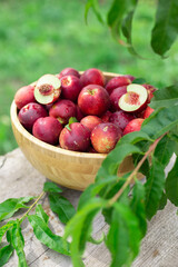 juicy ripe nectarines in a wooden bowl on the old rustic wooden table
