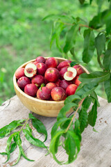 juicy ripe nectarines in a wooden bowl on the old rustic wooden table
