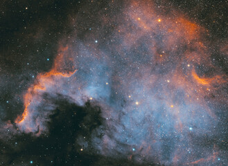 Close up of NGC 7000 nebula, in the Cygnus constellation. Taken with my telescope. I used special narrowband filters.