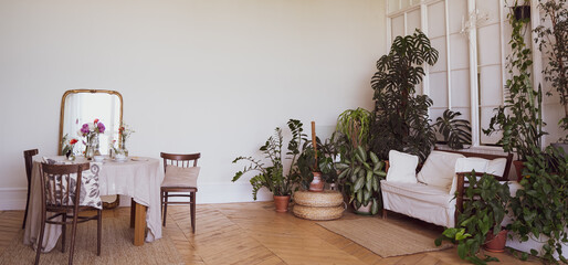 Living room with house plants. Furniture in the interior of a cozy apartment. Wooden parquet. No people