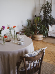 Elegant apartment. Lots of houseplants. Chair and coffee table