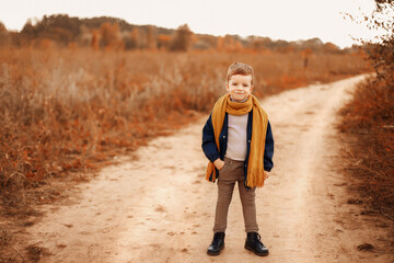 child in autumn forest, child in autumn leaves, autumn landscape, child in autumn park