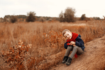 child in autumn forest, child in autumn leaves, autumn landscape, child in autumn park