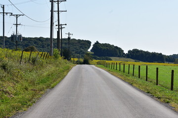 Fototapeta na wymiar Country road with fence, telephone poles and green field