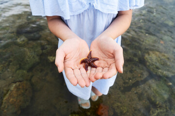 A little girl child holding a starfish in her hands on the seashore.