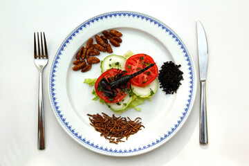 Edible scorpion and insects in a dish.