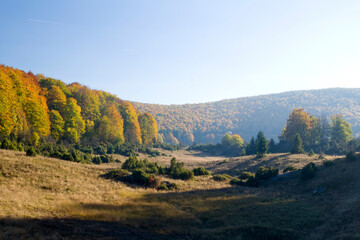 Autumn forest and field landscape in Hungary.