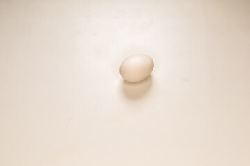 One white egg isolated on White Background