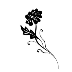 Abstract Flower and Dry grass as design element. Hand drawn sketch style. Line art. Ink drawing. Botany illustration on white. Isolated. Black and white vector background.